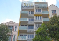 Ritz @ Farrer (D8), Apartment #639105431